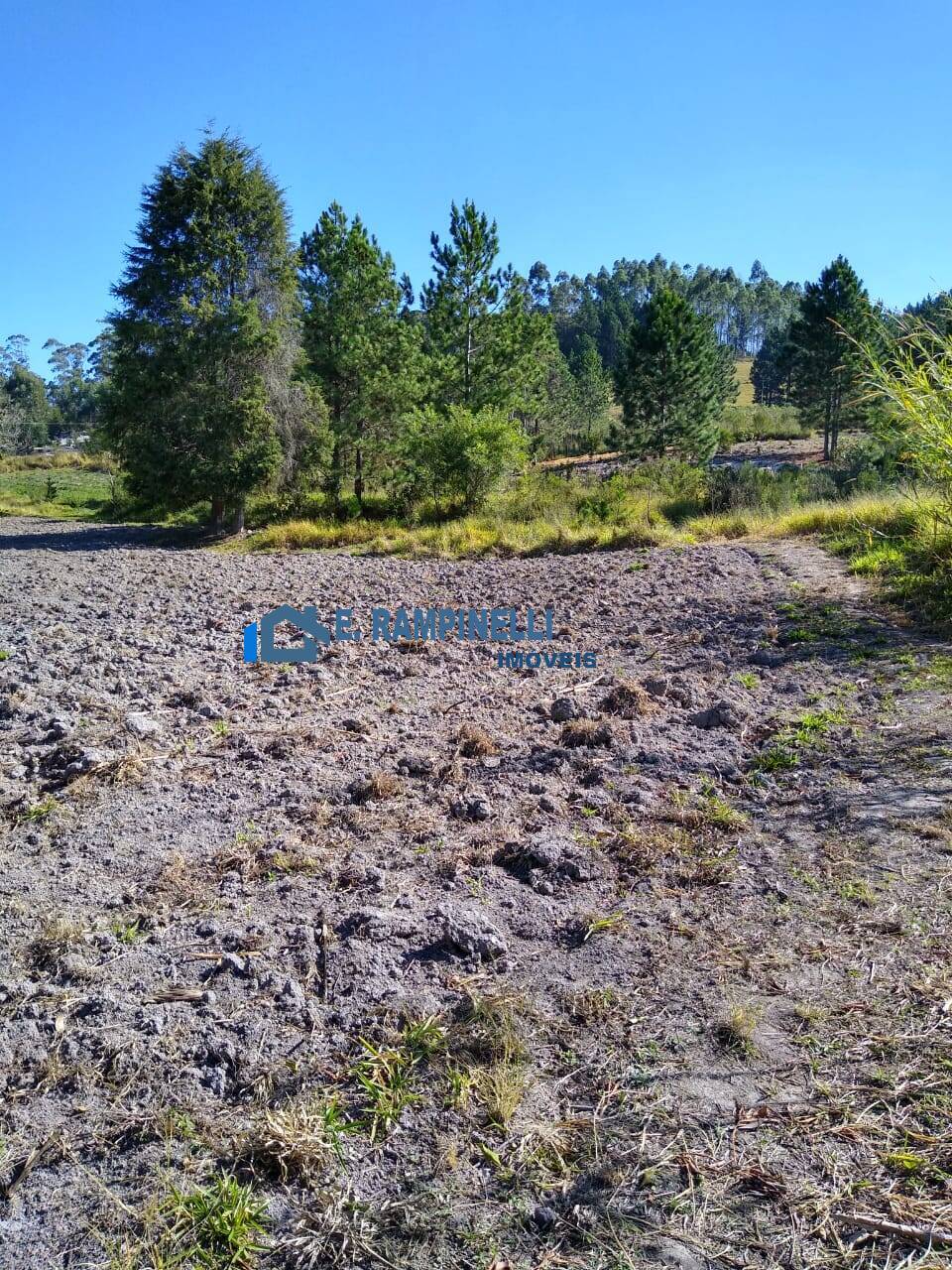 Sítio, 5 quartos, 9 hectares - Foto 2