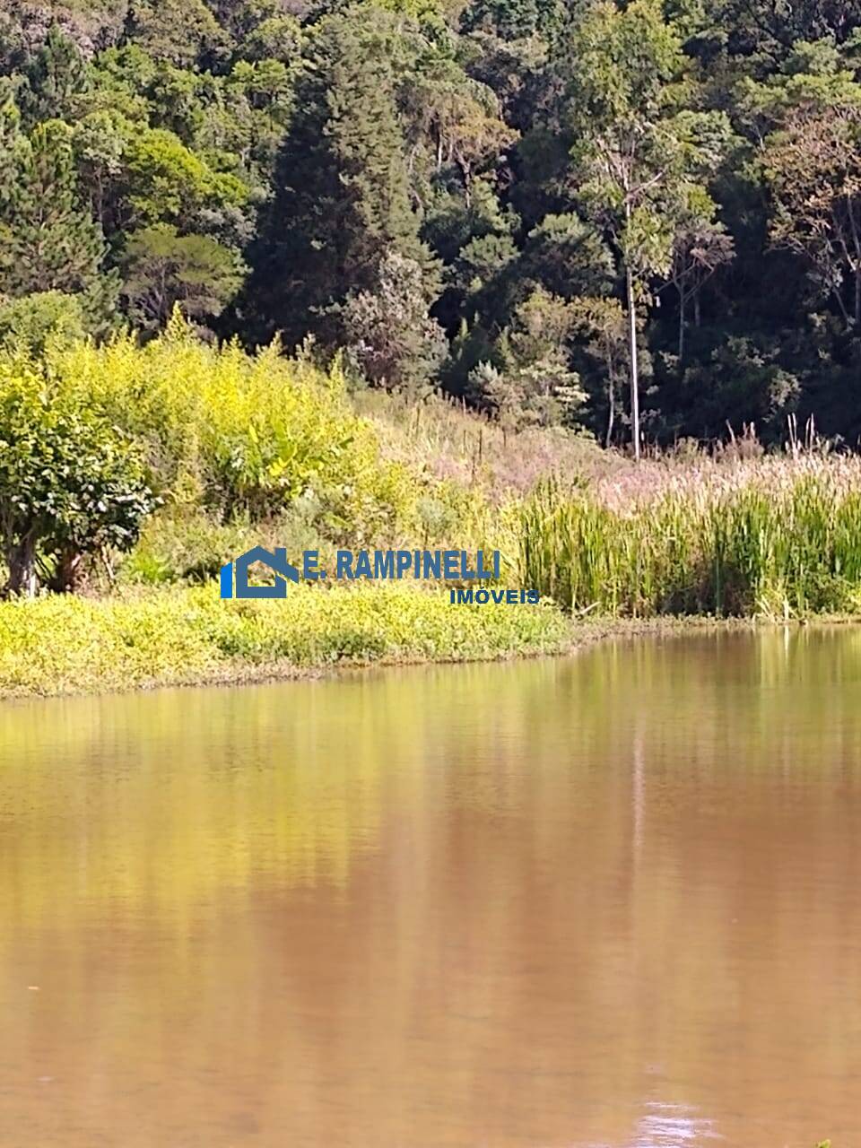 Sítio, 5 quartos, 9 hectares - Foto 3