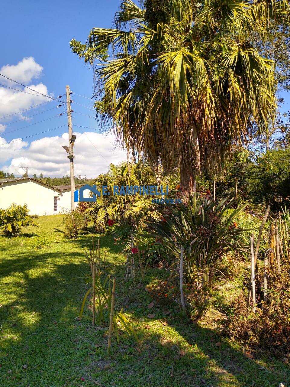 Sítio, 5 quartos, 9 hectares - Foto 17