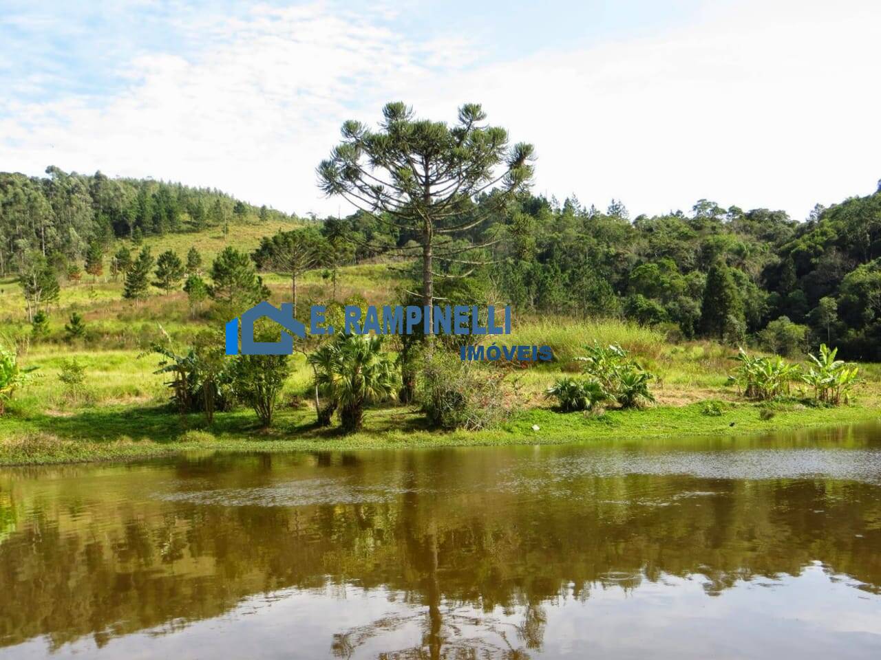 Sítio, 5 quartos, 9 hectares - Foto 20