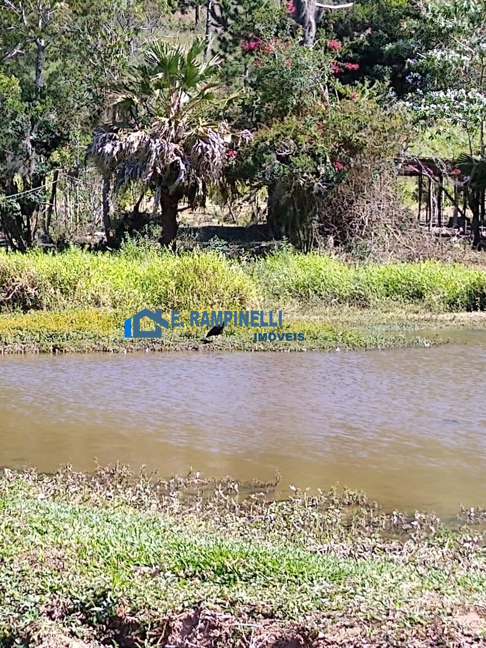 Sítio, 5 quartos, 9 hectares - Foto 22