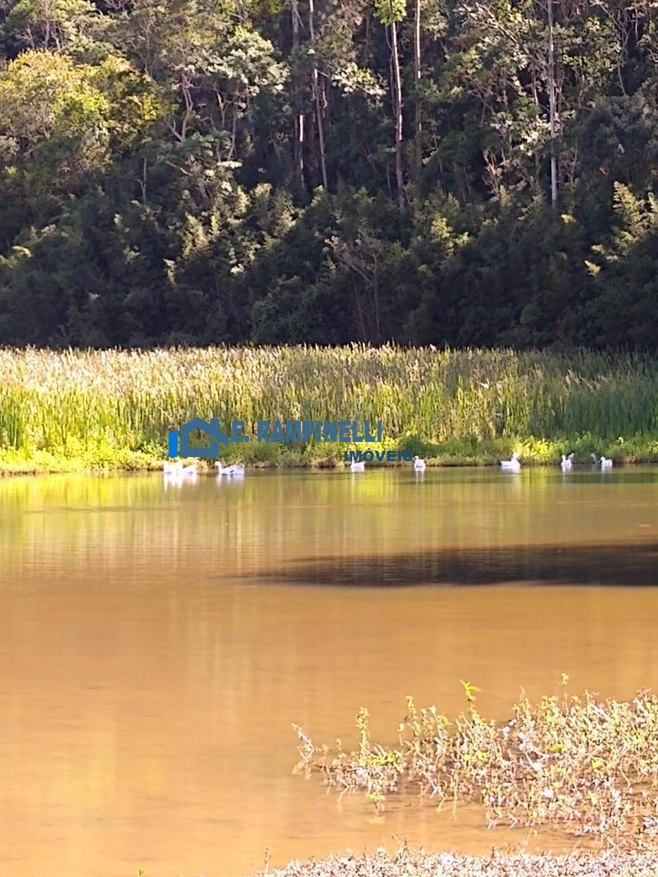 Sítio, 5 quartos, 9 hectares - Foto 28