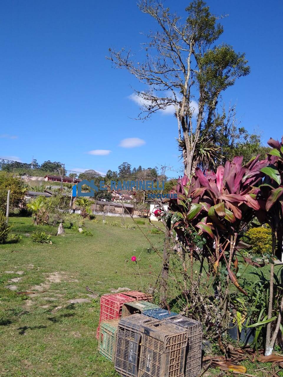 Sítio, 5 quartos, 9 hectares - Foto 27