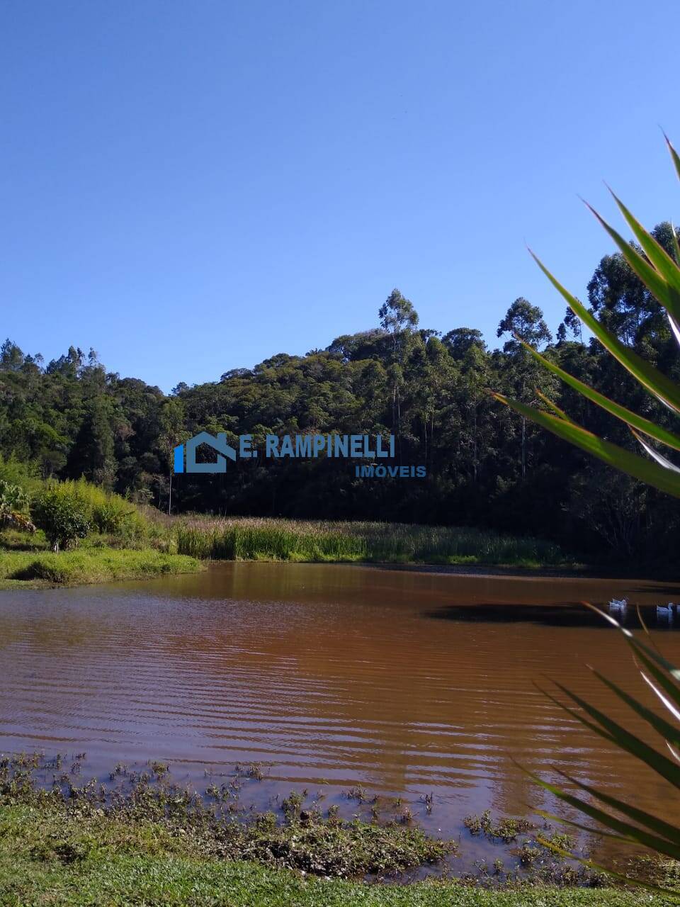 Sítio, 5 quartos, 9 hectares - Foto 29