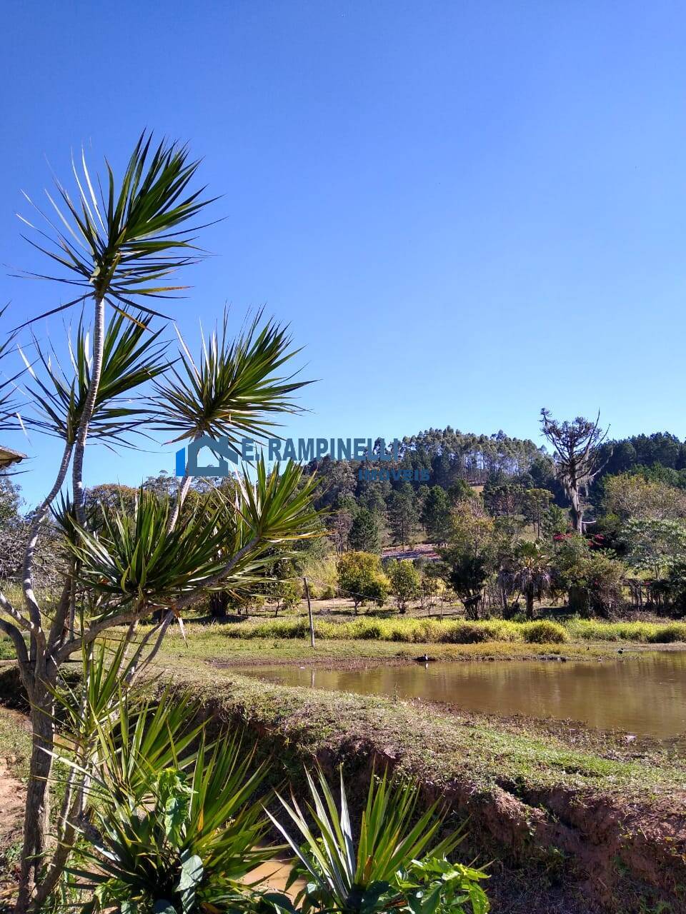 Sítio, 5 quartos, 9 hectares - Foto 37