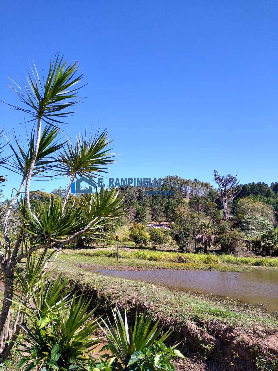 Sítio, 5 quartos, 9 hectares - Foto 35